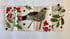 Fieldfare and Red Rebel Image 2