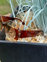 Image 2 of Brown Translucent Oval Sunglasses 