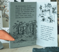 Image 3 of in the river of grass