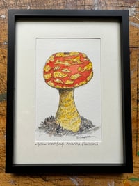 Image 1 of Yellow Wart Fungi: Original Painting (framed)