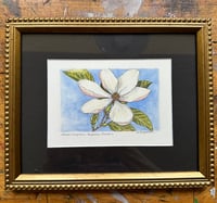 Image 1 of Fraser Magnolia Flower (Tree): Original Painting (framed)
