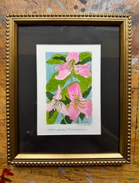 Image 1 of Bashful Wake Robin Trillium: Original Painting (framed)