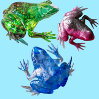 Image 1 of Frogs
