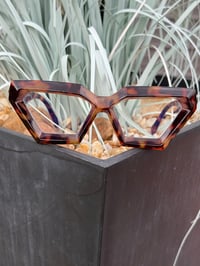 Image 1 of Tortoise Bevel Rim Clear Frames 