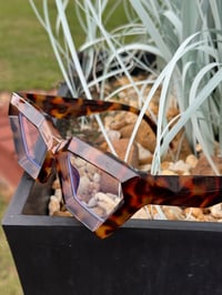 Image 2 of Tortoise Bevel Rim Clear Frames 