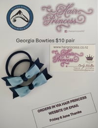 Image 2 of Fundraiser - Mount Somers Springburn School