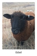 Image 3 of Tuuli Twist Yarn