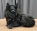 Image of Yule Cats