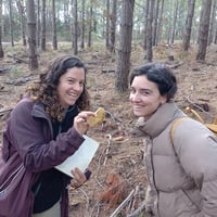 Image 2 of Half A Day Foraging Workshop <br> ( 3- HOURS )</br>