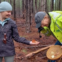Image 1 of Half A Day Foraging Workshop <br> ( 3- HOURS )</br>