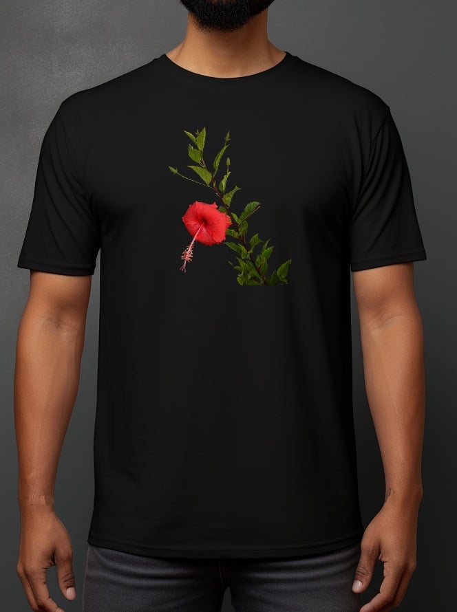 Hibiscus Rosa-Sinensis
