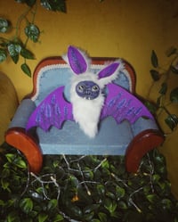 Image 2 of Big Eyed Bats