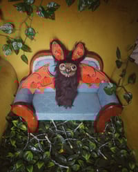 Image 3 of Big Eyed Bats