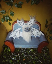 Image 5 of Big Eyed Bats
