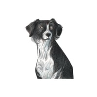 Image 5 of Portrait miniature animaux 13x18 cm