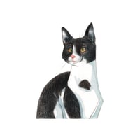 Image 3 of Portrait miniature animaux 13x18 cm