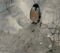 Image 9 of Mary Newcomb by Christopher Andreae
