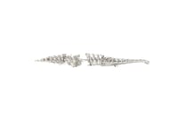 UROMASTICE_Crocodile Jaws