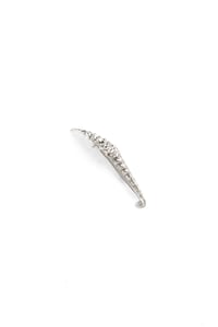 Image 2 of AGAMA ARMATA_Crocodile Jaws
