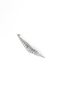 Image 3 of AGAMA ARMATA_Crocodile Jaws