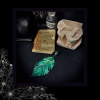 Image 1 of ☽ Carpinus Betulus ☾