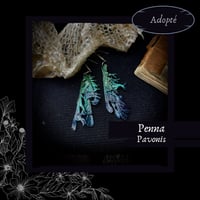 Image 1 of 🜧 Penna Pavonis 🜧