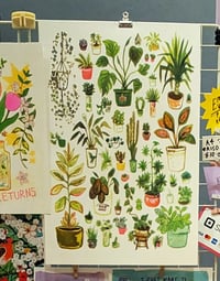 Image 1 of All my Houseplants: A4 digital or A3 riso Art Print