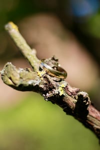 Image 4 of Gabriel