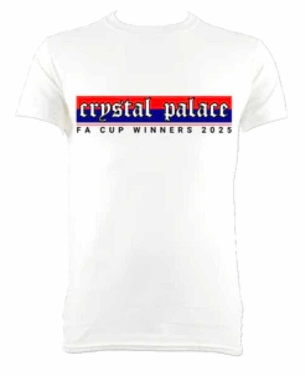WEMBLEY SECTION F.A CUP WINNERS T-SHIRT