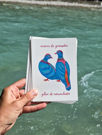 Image 1 of CARTES POSTALES OISEAUX - LOT DE 6