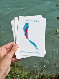 Image 2 of CARTES POSTALES OISEAUX - LOT DE 6