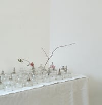 Image 1 of Trio de petites ventouses