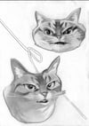 Cat Drawing V