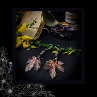 Image 3 of ☽ Humulus Carmina ☾