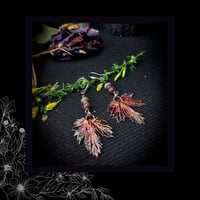 Image 5 of ☽ Humulus Carmina ☾