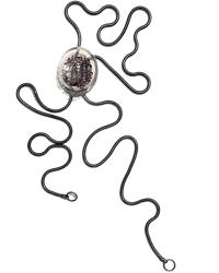 Image 1 of Brain  Bolo Tie