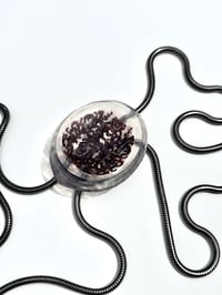 Image 2 of Brain  Bolo Tie