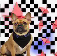 Image 4 of „Fuzzy Reality “ MyArt All-over print bandana
