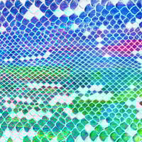 Image 2 of Zoom