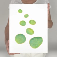 Image 1 of Harmony