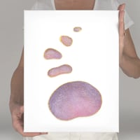 Image 1 of Enchantment