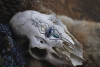 Image 4 of Teschio di Cerva -Sigillum Naturae-