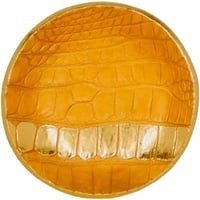 Image 2 of Dot - Pearl Orange Alligator