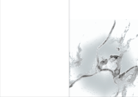 Image 4 of OBJECTION - Limited Edition with Risograph Print Cover