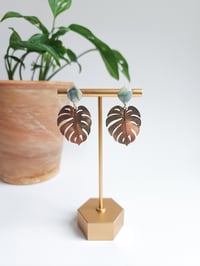 Whimsical Waters Monstera