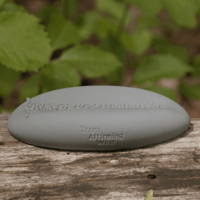 Image 1 of Bug