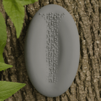 Image 2 of Bug