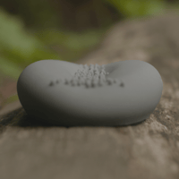 Image 3 of Bug