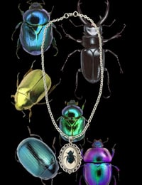 Image 1 of vintage cameo beetle necklace 🪲