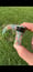 Image of Infinity slide 